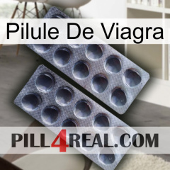 Viagra Pill 31